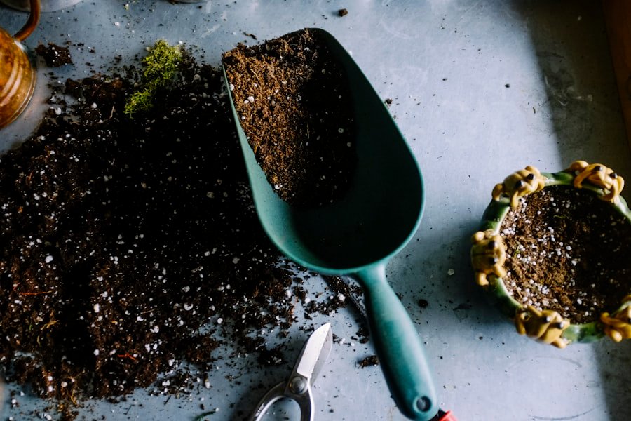 Soil pH Testing: A Gardener Essential Guide